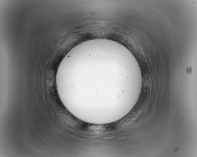 X0000099230133200805081606