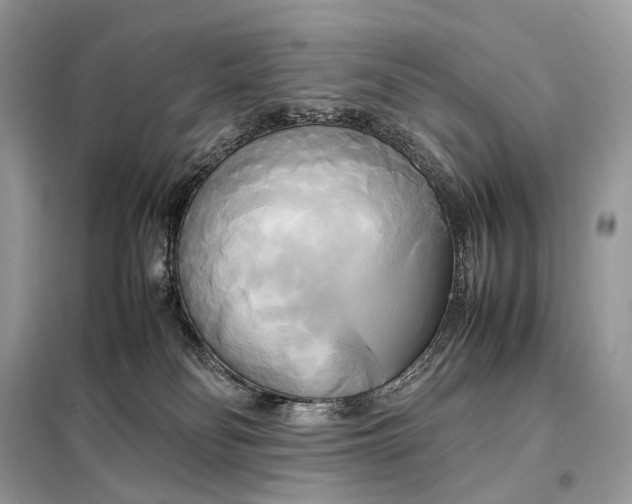 X0000099230134200805081606