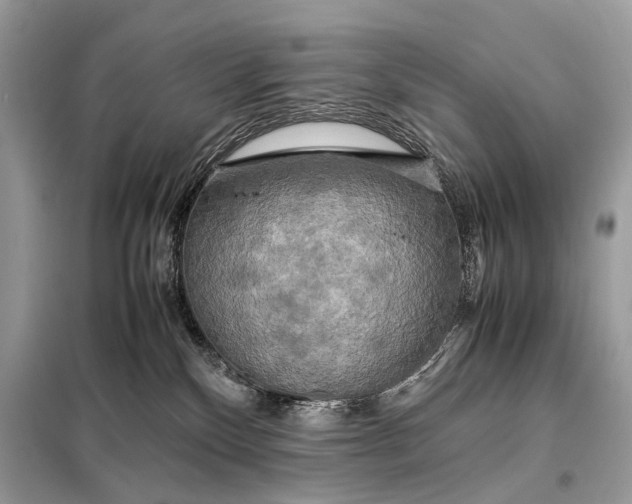 X0000099230136200805081606