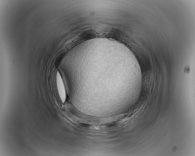 X0000099230137200805081606