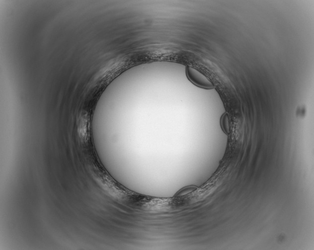 X0000099230138200805081606