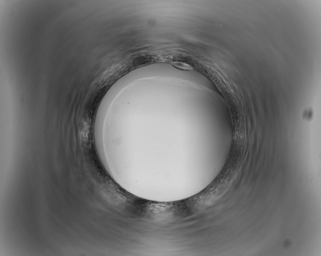 X0000099230139200805081606