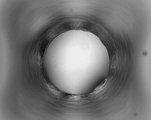 X0000099230140200805081606