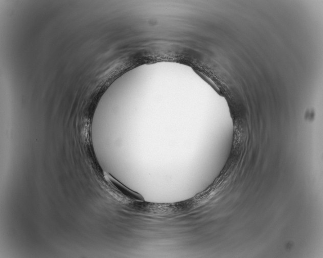 X0000099230141200805081606