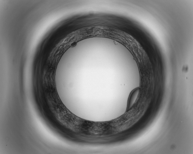 X0000099230142200805081606