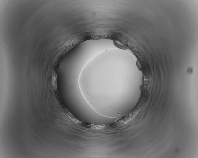 X0000099230143200805081606