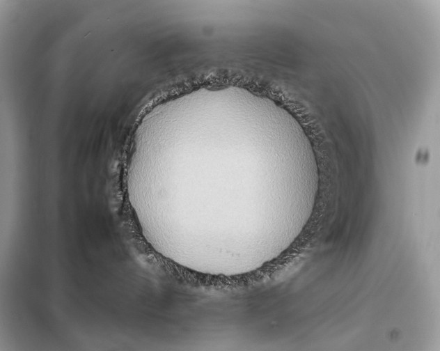 X0000099230144200805081606