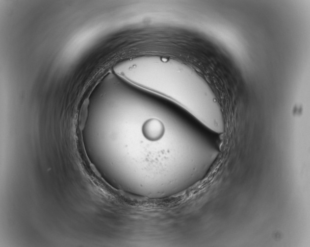 X0000099230146200805081605