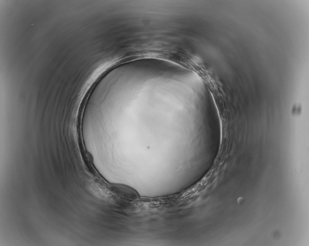 X0000099230147200805081605