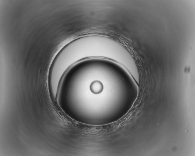 X0000099230148200805081605