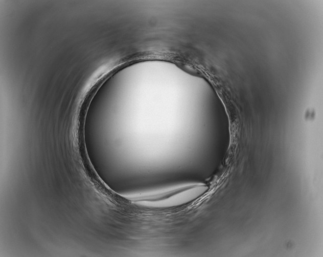 X0000099230150200805081605