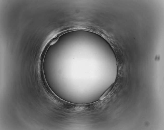 X0000099230152200805081605