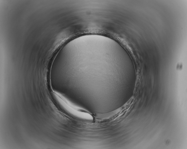 X0000099230154200805081605