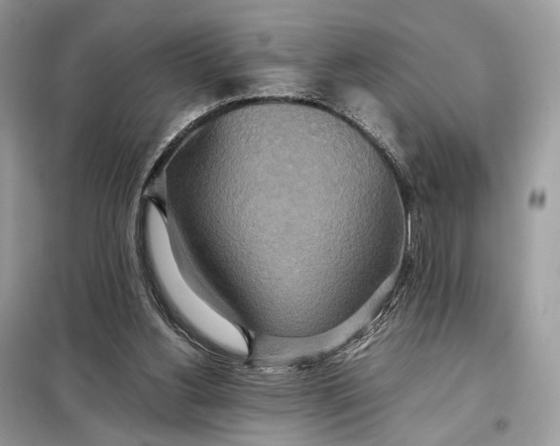 X0000099230156200805081605