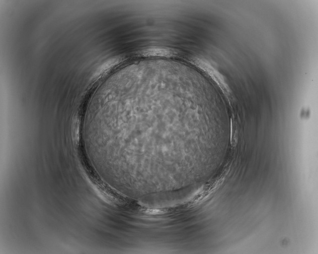 X0000099230157200805081606