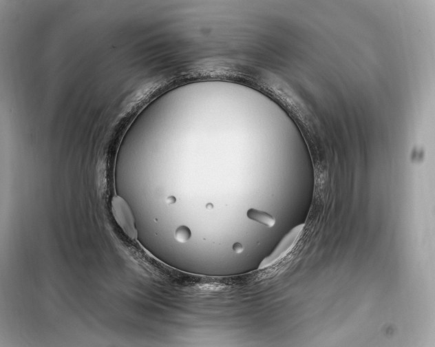 X0000099230158200805081606