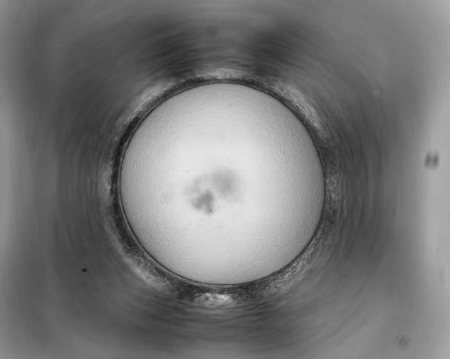 X0000099230159200805081606