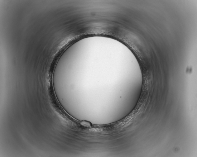 X0000099230160200805081606