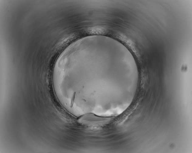 X0000099230161200805081606