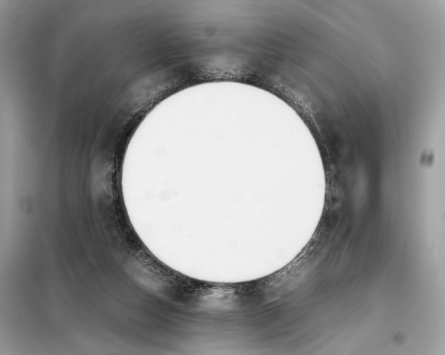 X0000099230162200805081606