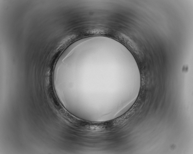 X0000099230163200805081606