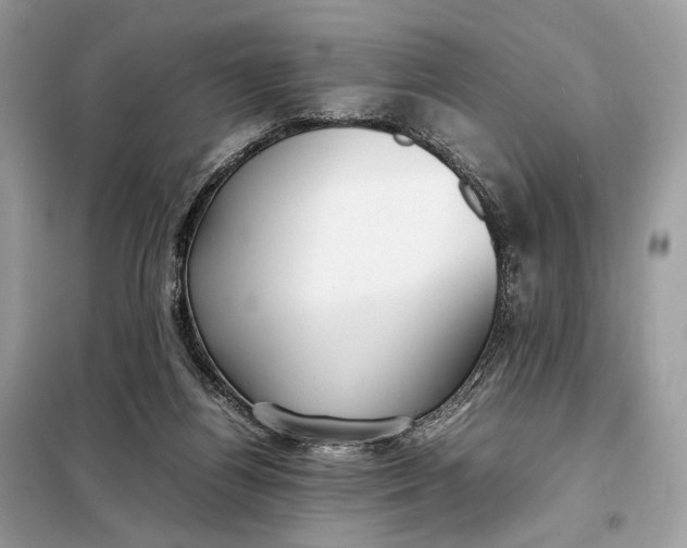 X0000099230164200805081606