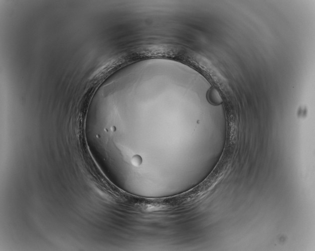 X0000099230165200805081606