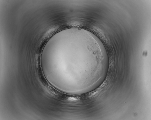 X0000099230167200805081606