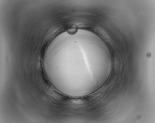 X0000099230169200805081606