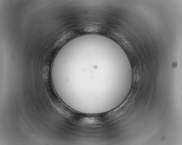 X0000099230171200805081606