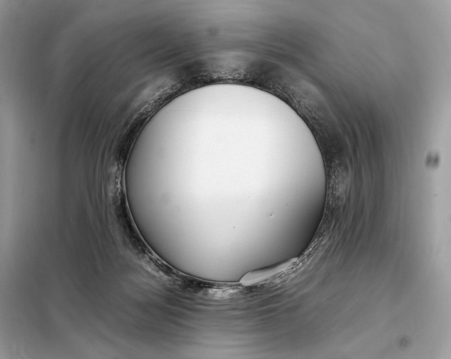 X0000099230172200805081606