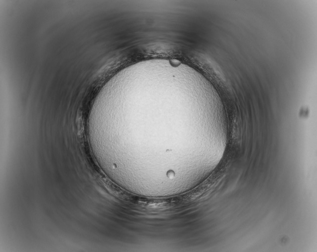 X0000099230173200805081606