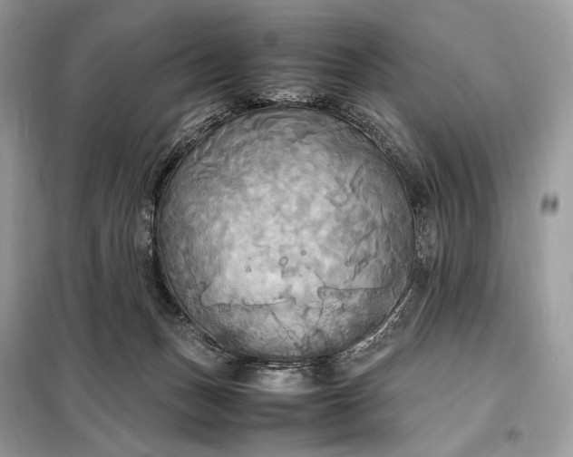 X0000099230175200805081606