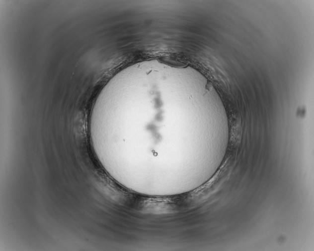 X0000099230179200805081606