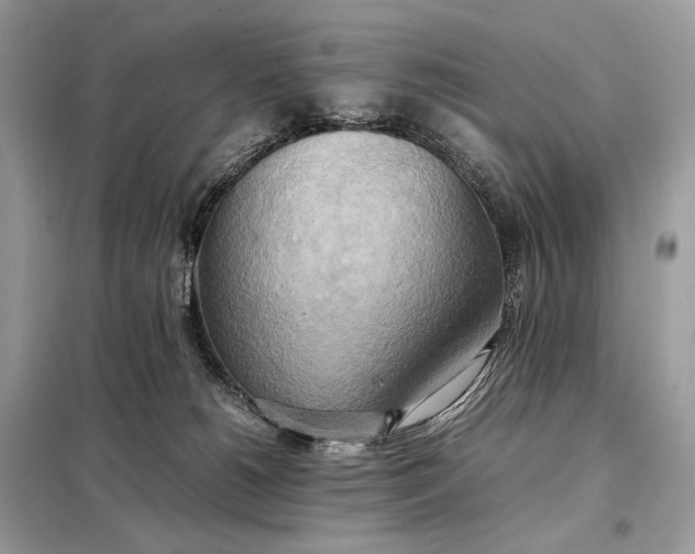 X0000099230180200805081606