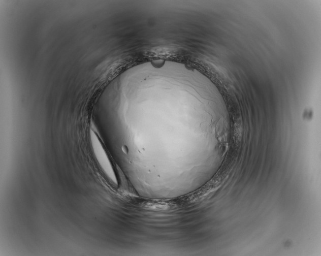 X0000099230181200805081606