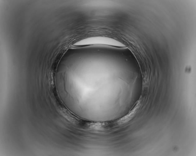 X0000099230182200805081606