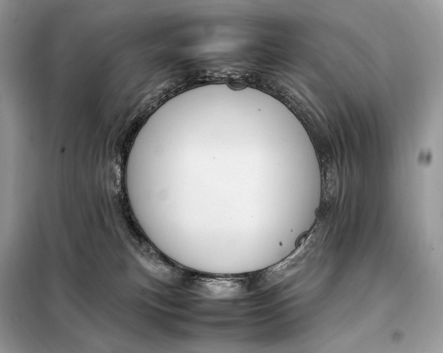 X0000099230183200805081606