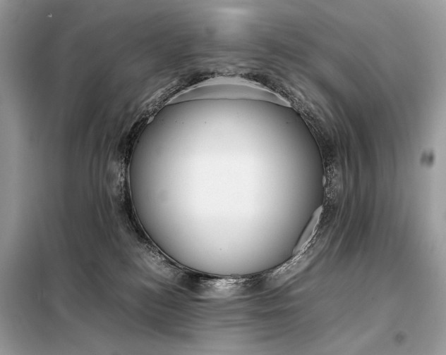 X0000099230184200805081606