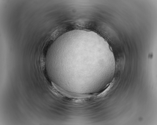 X0000099230186200805081606