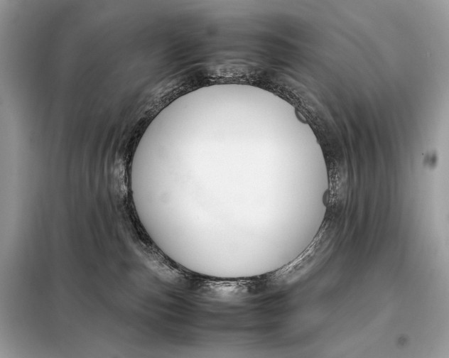 X0000099230187200805081606