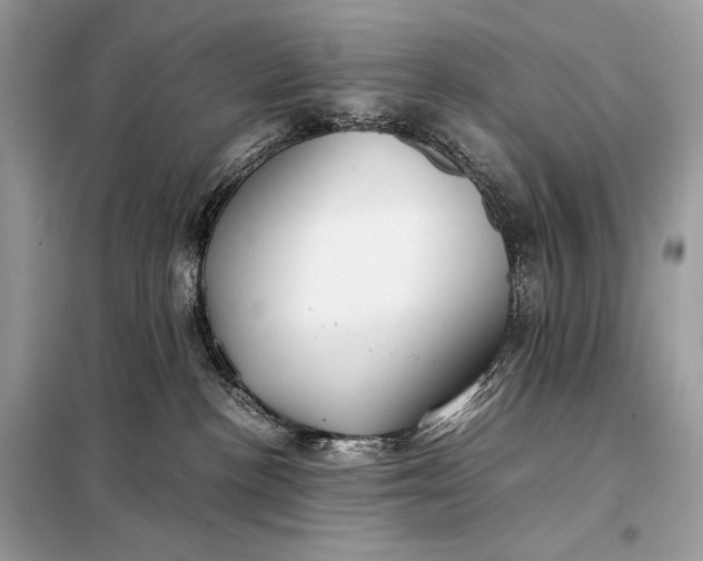 X0000099230188200805081606