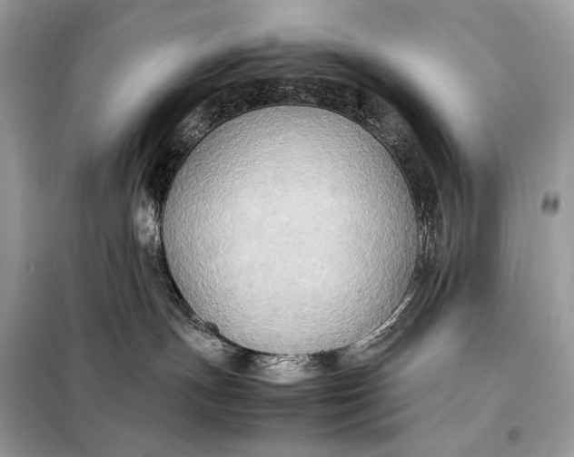 X0000099230191200805081606