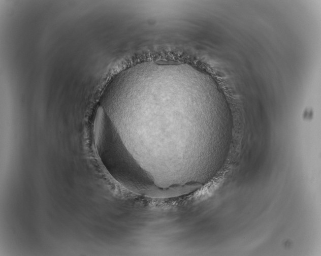 X0000099230192200805081606