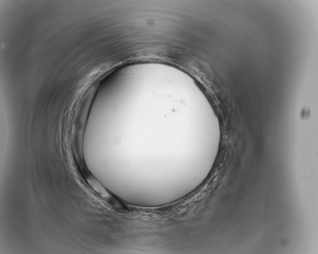 X0000099230193200805081605