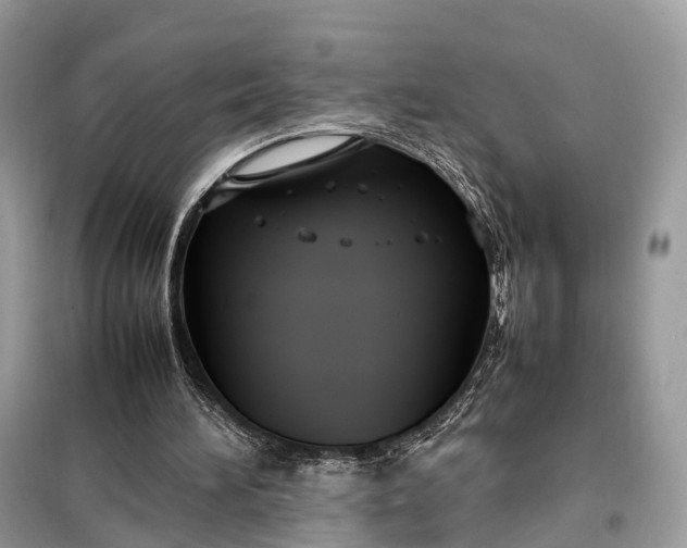 X0000099230196200805081605