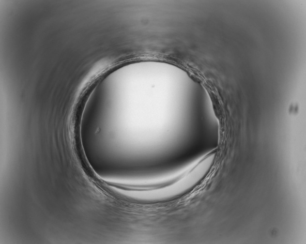 X0000099230197200805081605