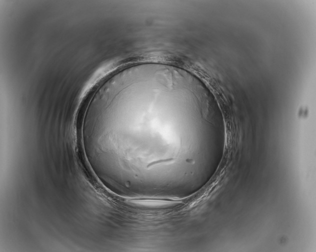 X0000099230198200805081605