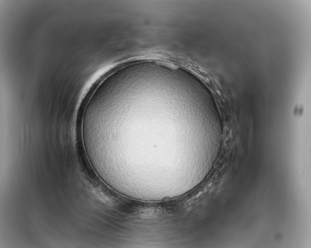 X0000099230200200805081605