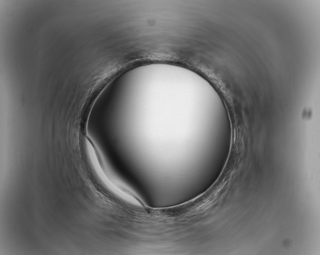 X0000099230201200805081605